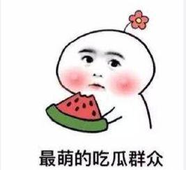 娱乐吃瓜酱男朋友敷衍,娱乐吃瓜酱男友敷衍背后的真相揭秘